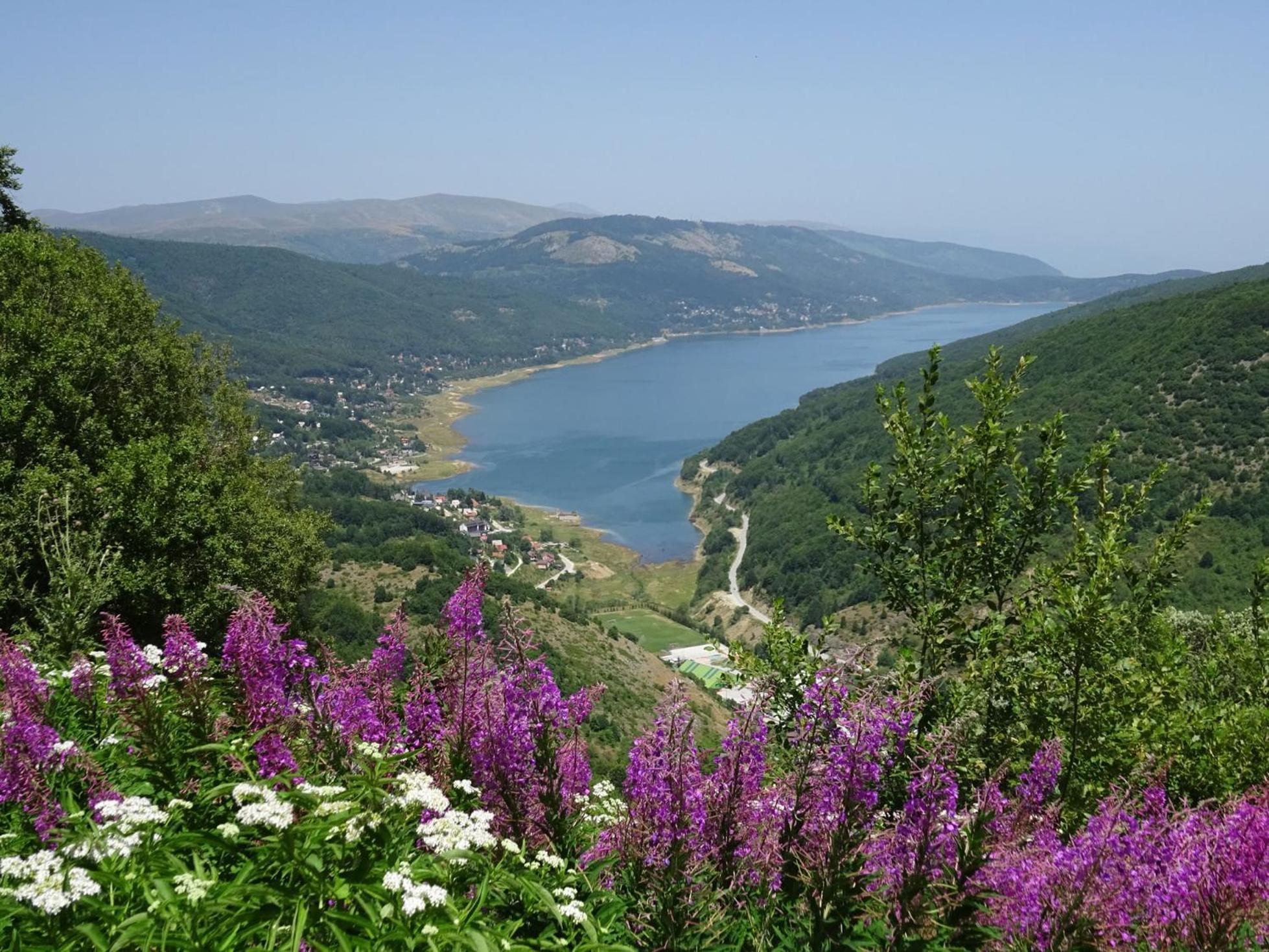 Forest View Apartment Mavrovo Eksteriør bilde